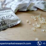 Fumed Silica Market