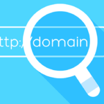 Website domain