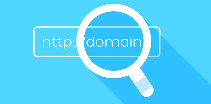 Website domain