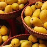 How Mangoes Benefit Your Health and How to Eat Them