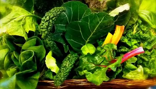 Maintaining a healthy liver with greens